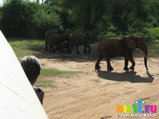 14249 Colin taking pictures of elephants